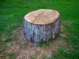 Best Firewood Processing and Delivery  in Palo Cedro, CA